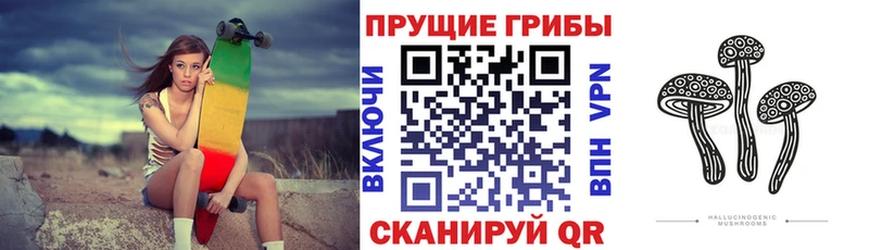 Галлюциногенные грибы мицелий  где можно купить наркотик  Екатеринбург 