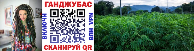 Бошки Шишки тримм  где купить наркотик  Екатеринбург 